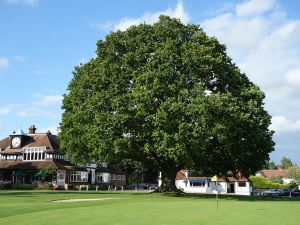 Sunningdale (Old) 18th Logo Tree